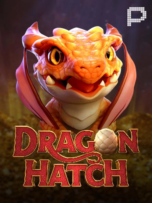 hoje tem jogo na band ao vivo